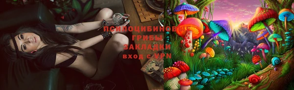 меф Гусев