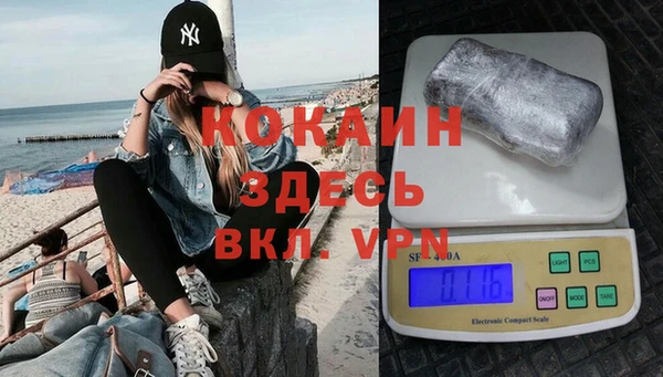 молекула духа Горняк